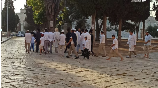 بعد تطويق القدس.. مستوطنون يقتحمون الأقصى على شكل مجموعات بـ" زي الكهنوت التوراتي"