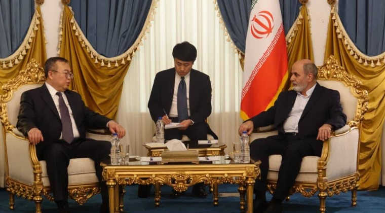 Iran’s security chief urges global effort to stop Israel’s killing machine