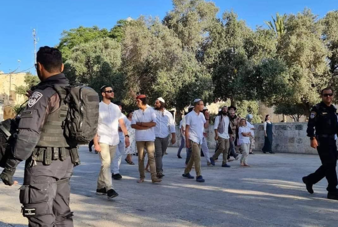  Organization of Islamic Cooperation condemns Israeli aggression on al-Aqsa, urges UNSC to ‘act urgently’ 