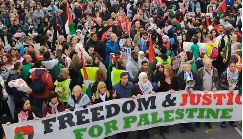 Pro-Palestinians protesters rally in Ireland