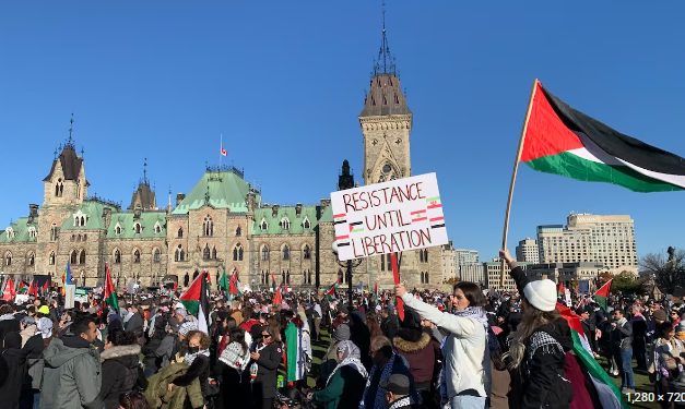 Video: Canadians demonstrate for Palestine outside Parliament Hill in Ottawa