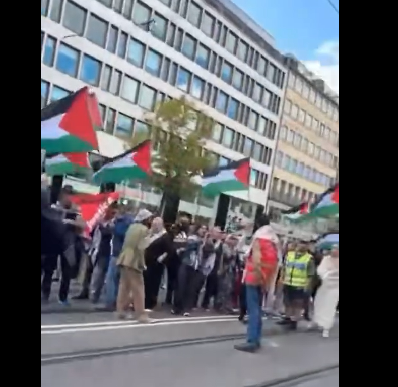 Video: Pro-Palestine protesters rally in Göteborg, Sweden in support of Gaza people