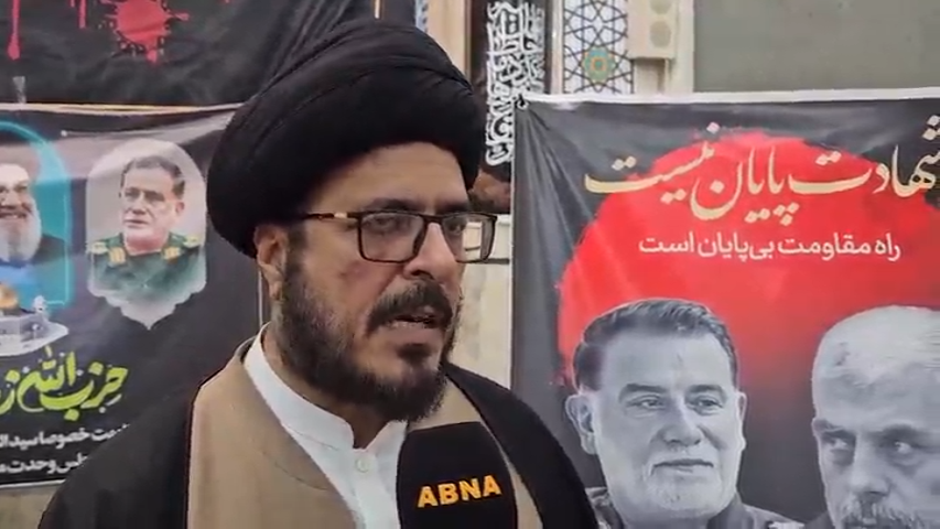 مجلس وحدت مسلمین کے رہنما سید شیدا حسین کی ابنا نیوز سے گفتگو