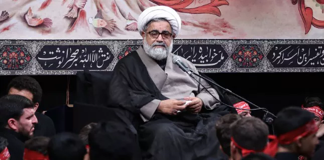 Karbala, an example of great human values: Allama Nasir Abbas Jafari