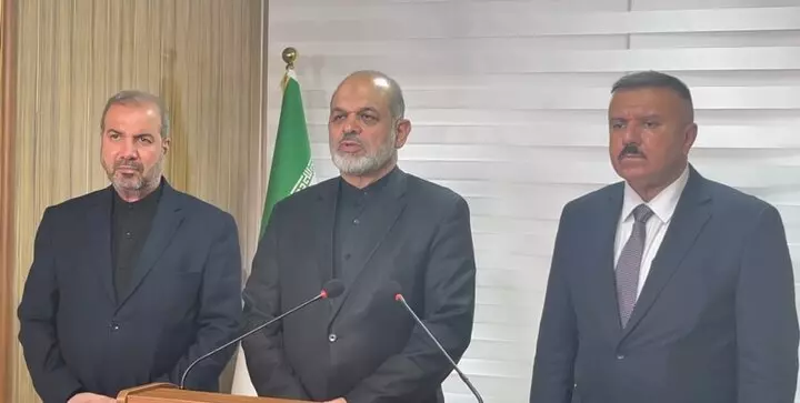 Tehran, Baghdad Arbaeen plans going well: Iranian Minister