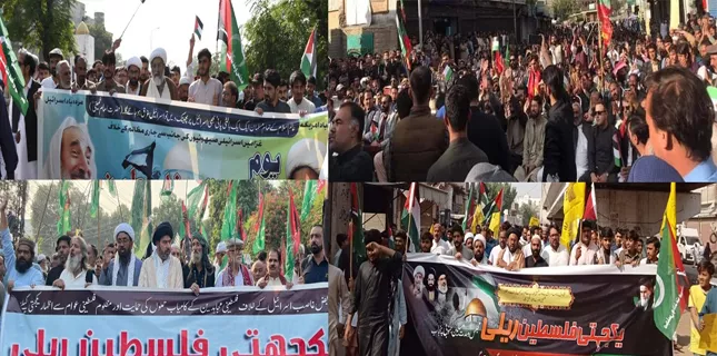 Palestine solidarity rally held in Tando Muhammad Khan, Pakistan