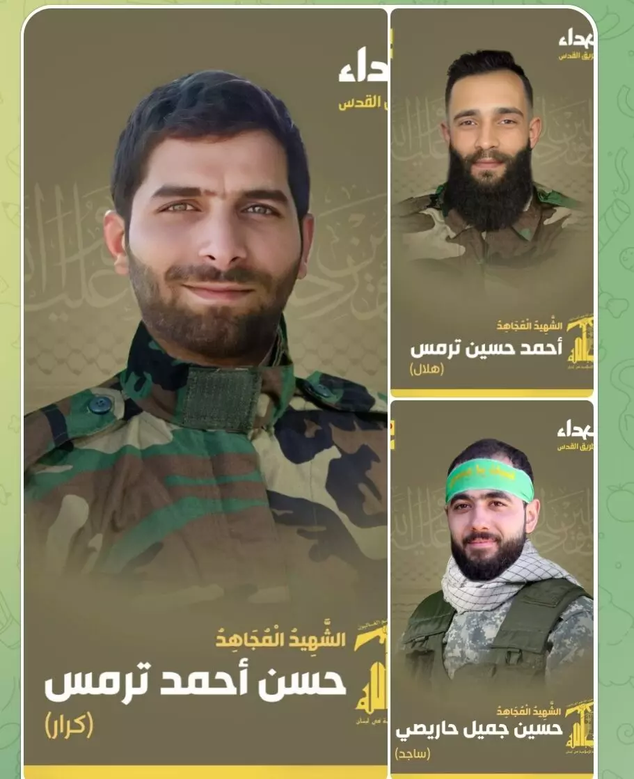 5 Hezbollah members martyred in Israeli attacks