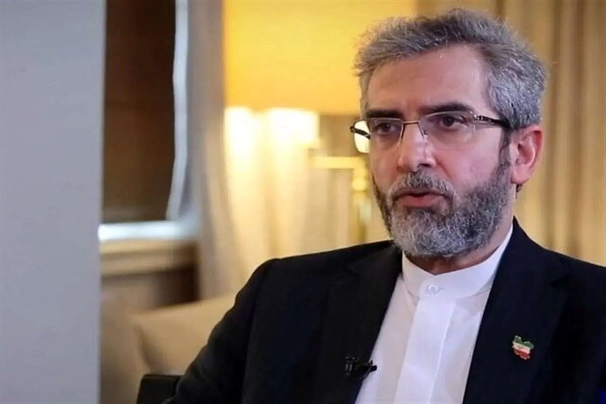 Int'l community should force Israel to immediately implement ICJ judgment