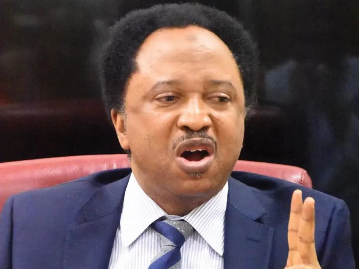 Nigerian Senator: Israeli massacres in Gaza and Lebanon show UN uselessness