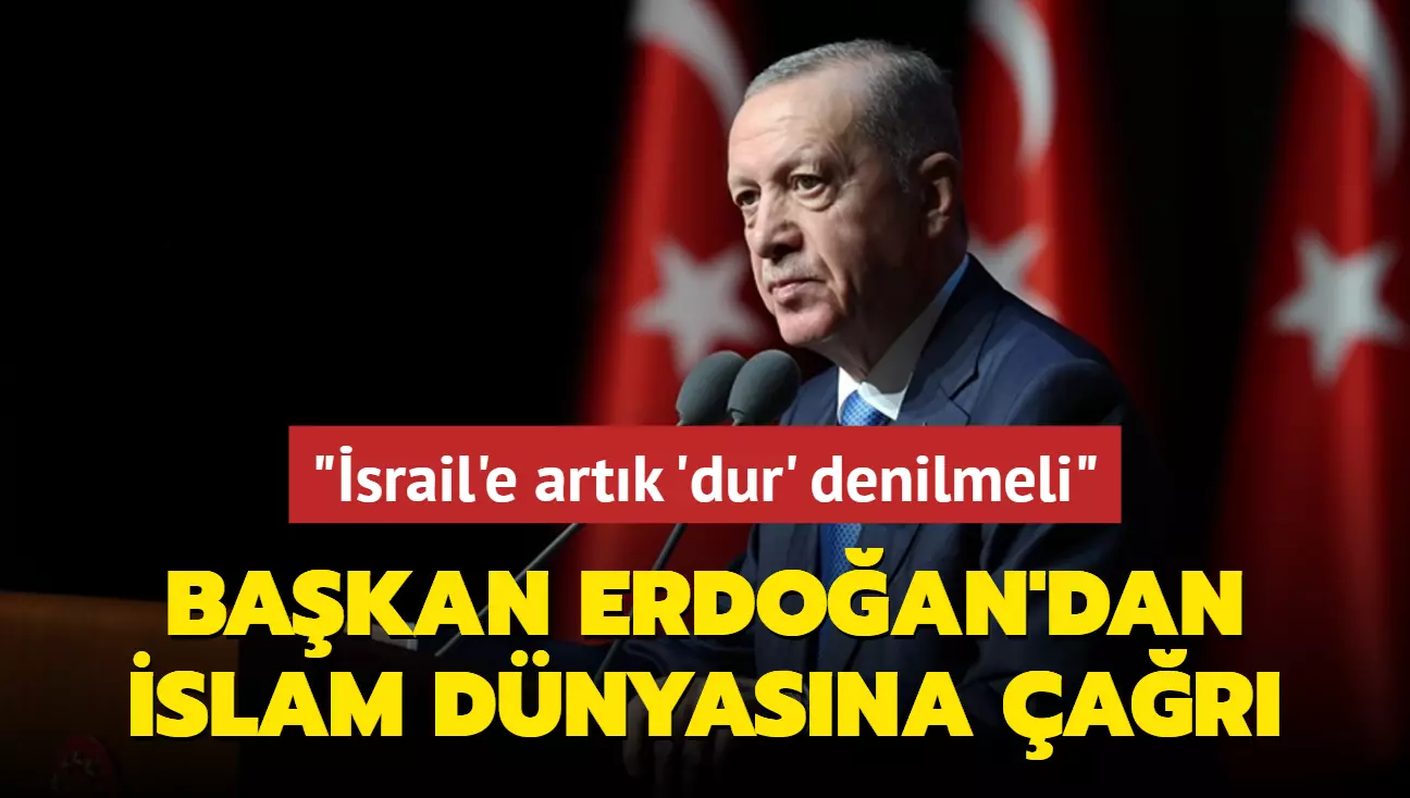 Başkan Erdoğan'dan İslam dünyasına çağrı: İsrail'e artık 'dur' denilmeli