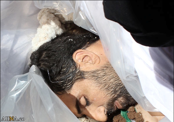 از شهدای مدافع حرم مطهر حضرت زینب(س) تا اعدام نوجوان سوری(18+)