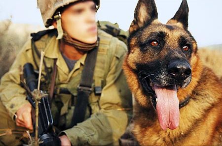 ارتش صهیونیستی از چه حیواناتی تشکیل شده است؟ + تصاویر