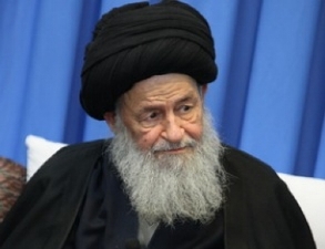 آیت الله علوی گرگانی: به فرد دلسوز و معتقد به مبانی دینی و نظام رای بدهید