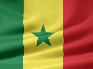 اعتراض مسلمانان سنگال به هتك حرمت قرآن