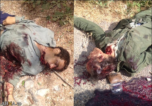 بازهای شام؛ جانورانی که در پوشش انسان جنایت می‏کنند + عکس (18+)