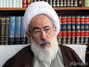 شبستری: مجمع جهانی اهل بیت(ع) در حد مقدورات خدمات خوبی داشته است