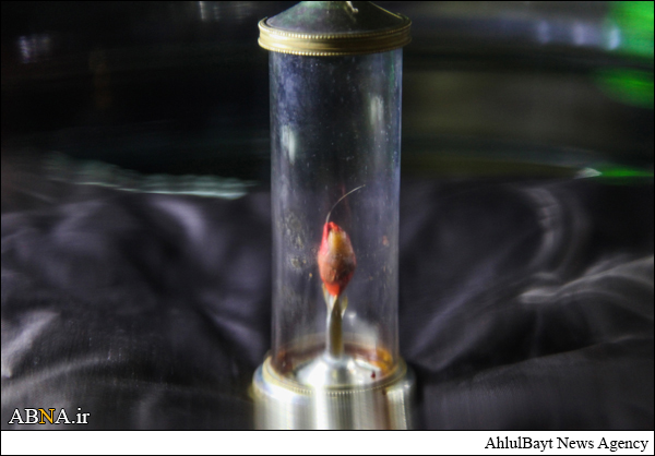 نمایش تار موی منسوب به پیامبر(ص) در موزه حرم امام حسین(ع) + عکس