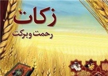 میزان زکات فطریه از سوی آیت‌الله مکارم شیرازی اعلام شد