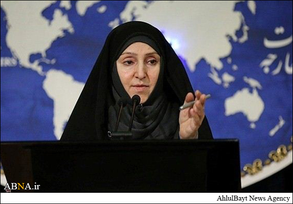 افخم: آزادی آمرلی روح مقاومت را در عراق بیش از پیش تقویت خواهد کرد