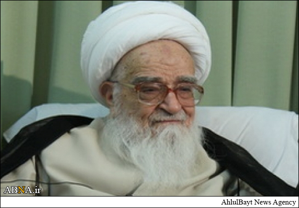 دیدار دبیرکل مجمع با آیت‌الله صافی گلپایگانی