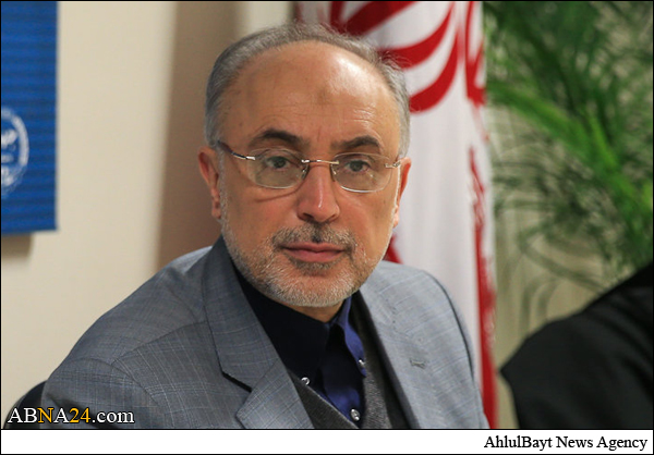 ابعاد فنی مذاکرات هموارکننده مسائل حقوقی و سیاسی است