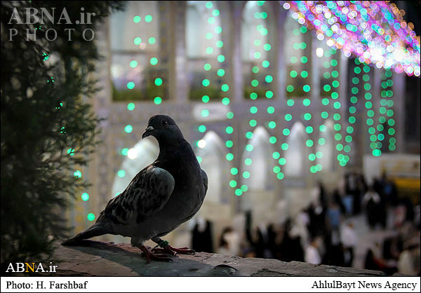 تشرف چهار میلیون زائر غیرایرانی در سال 93 به حرم امام رضا(ع)/ اعلام برنامه‌های ویژه ایام نوروز