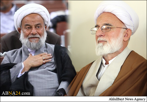 آیت الله دری نجف آبادی ارتحال آیت الله آصفی را تسلیت گفت