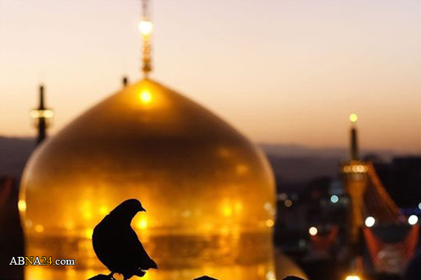 دلنوشته جوان فرانسوی به جشنواره امام رضا(ع) برگزیده شد