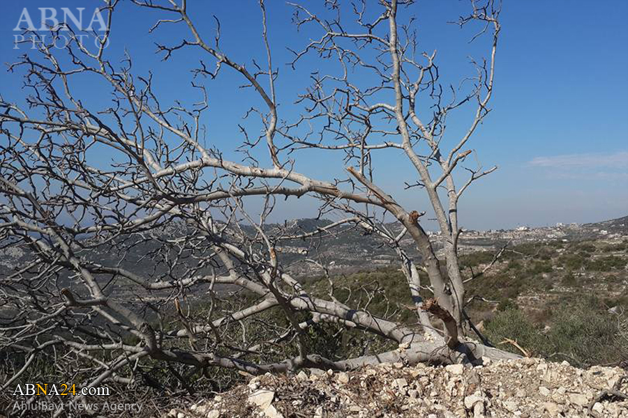 عکس خبری/ شهرک "کنسبا" پس از آزادی به دست ارتش سوریه