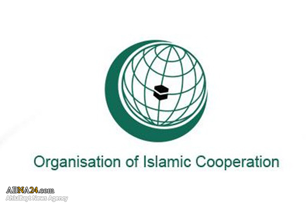 نشست فوق‌العاده بررسی وضعیت مسلمانان روهینگیا برگزار می شود