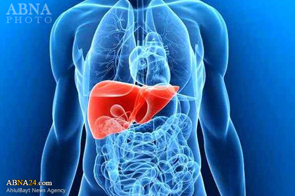 روزه مانع ایجاد و پیشروی چربی مضر کبد می شود