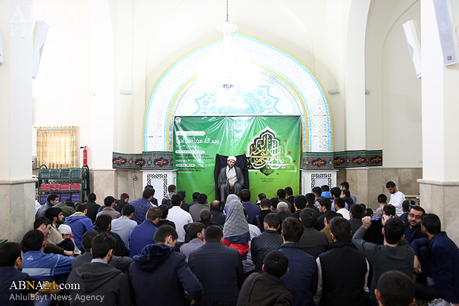 تشرف 240 نفر از طلاب خارجی جامعه المصطفی به حرم مطهر رضوی