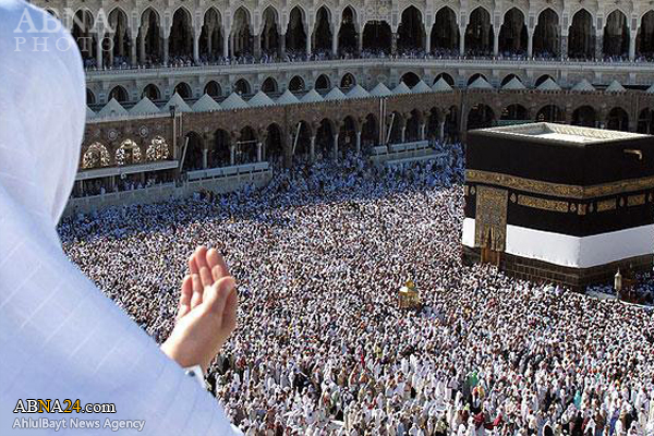 احتمال افزایش زائران حج تمتع به ۸۰ هزار نفر/ پیگیری حذف ویزا برای سفر به عراق