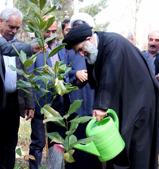 حسینی همدانی: در فرهنگ دینی و اسلامی تأکید زیادی برحفاظت از محیط زیست شده است 