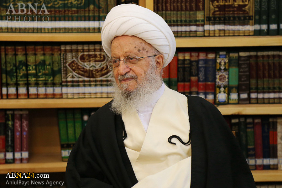 تجلیل آیت‌الله مکارم شیرازی از فعالیت‌های آکادمی علوم اسلامی آلمان 