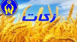 بحرینی: زکات دریافت شده در اسرع وقت بین نیازمندان توزیع خواهد شد