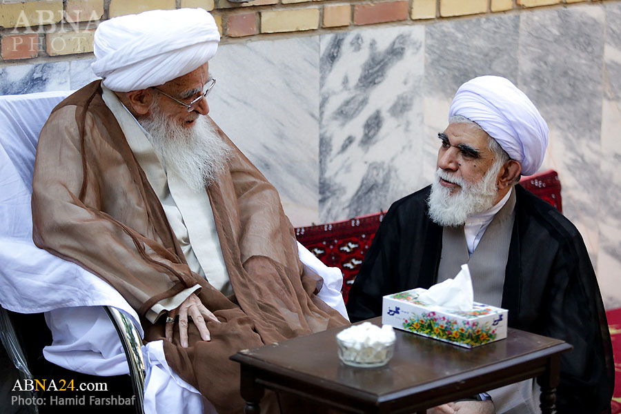 رایزنی دبیرکل مجمع جهانی اهل بیت(ع) با مراجع تقلید درباره "العوامیة"