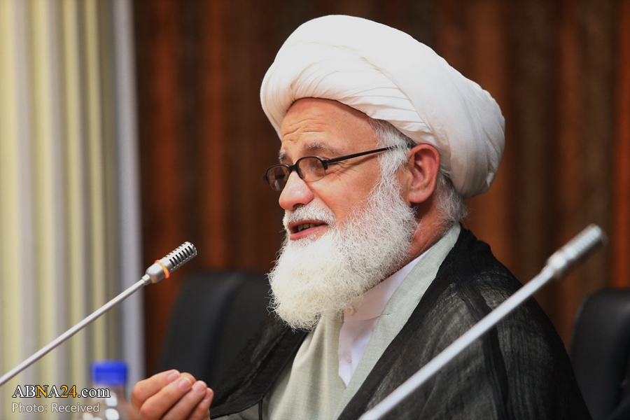 یوسفی غروی: نفوذ و محبوبیت امام هادی(ع) در جامعه بسیار زیاد بود