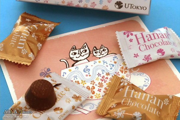 فروشگاه آنلاین شکلات‌های حلال در ژاپن راه اندازی شد + عکس