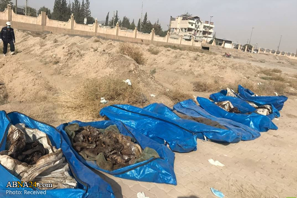 کشف یک گور دسته جمعی در رقه حاوی دست‌کم ۶۰۰ پیکر