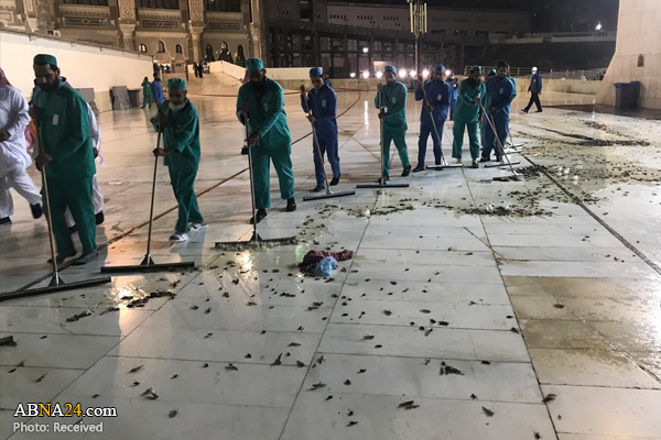 یورش سوسک‌ها به مکه! + فیلم و عکس