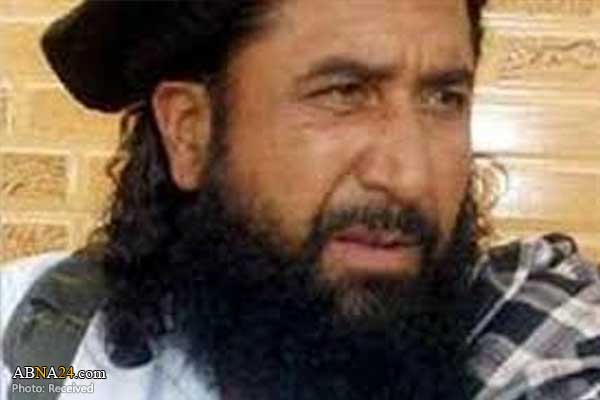 «ملا عبدالغنی برادر» رئیس دفتر سیاسی طالبان در قطر شد