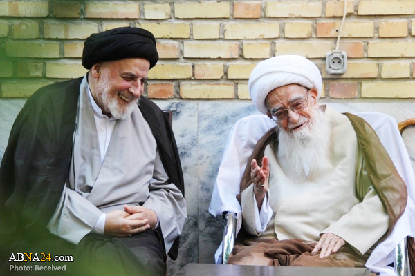  آیت الله صافی گلپایگانی: فقدان علامه سیدجعفر مرتضی برای مراکز علمی و دینی ثلمه و خسارت است