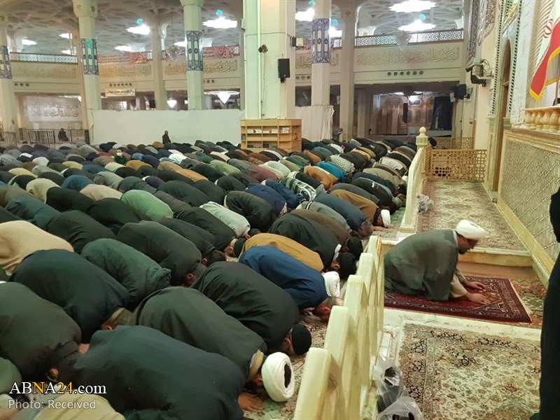 نماز جماعت در حرم حضرت معصومه(س) برپا شد/ حائل‌های اطراف ضریح مطهر برداشته شد + تصاویر