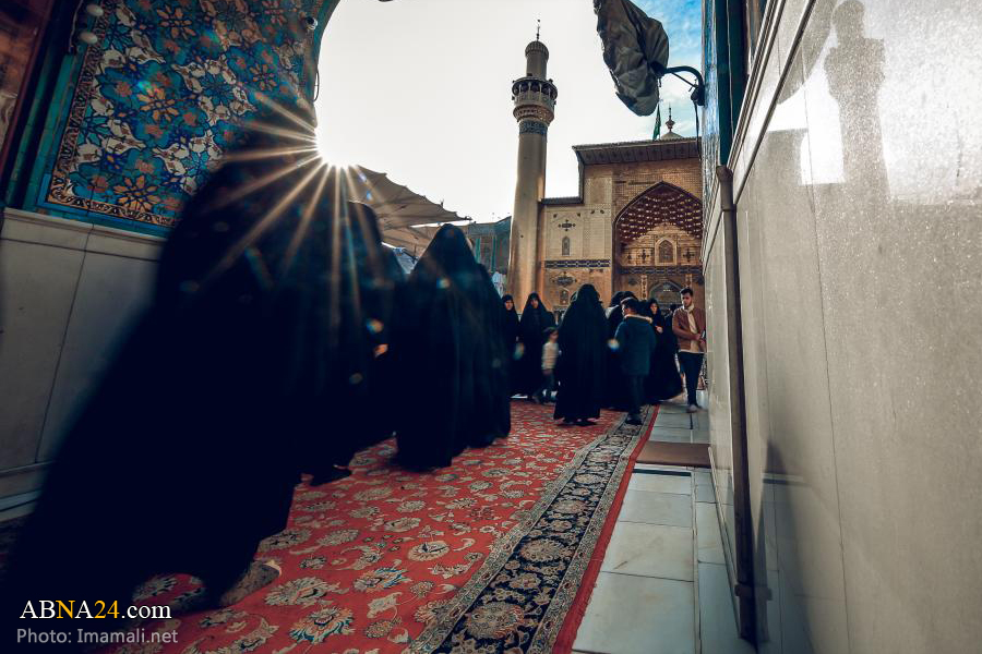 برنامه ریزی برای اعزام زائران به عتبات عراق و سوریه بعد از کرونا
