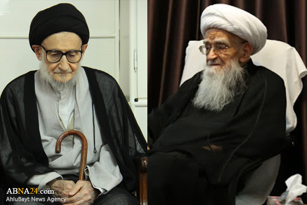 آیت الله صافی گلپایگانی: آیت الله ضیاءآبادی معلم اخلاق و مبیّن مباحث رفیع امامت و ولایت بود