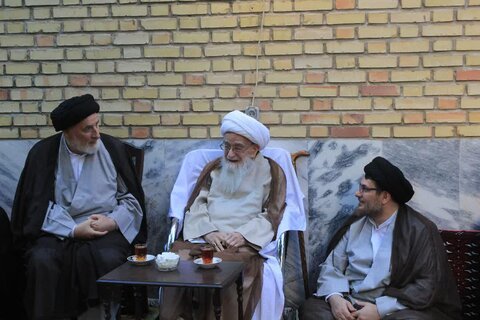 سید محمد مرتضی عاملی: آیت‌الله صافی گلپایگانی از استوانه‌های سترگ حوزه‌ بود