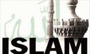 法国穆斯林要求在该国议会组建抵制伊斯兰恐惧症委员会