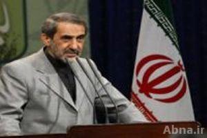 ایران، اسلامی ممالک میں ایک مضبوط سہارا: ڈاکٹر ولایتی