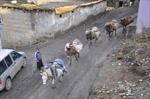 Artık PKK’nın Gümrük Geliri Var